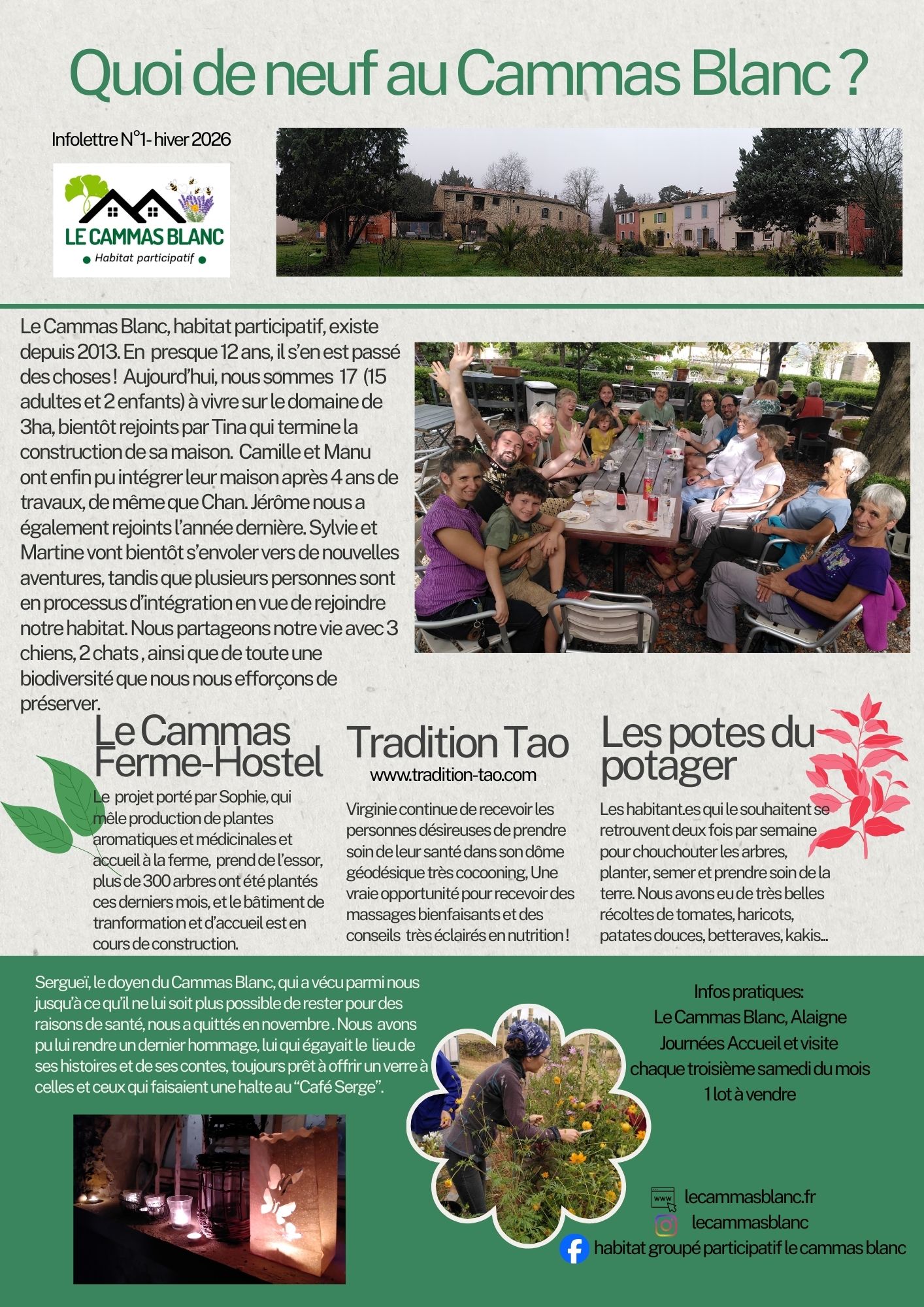 Green Modern Breaking News Newsletter